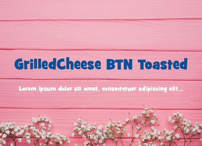 GrilledCheese BTN Toasted example